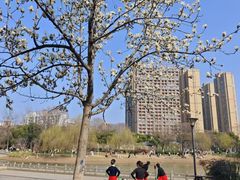 -堤角公园