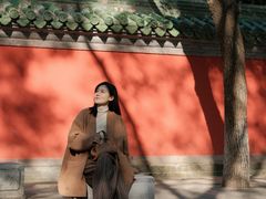 -北京国子监胡同