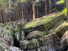 -梭布垭石林景区