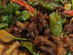 -食鸡公社辣子鸡·潍坊菜·烧烤