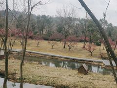 -黄陂区野村谷景区