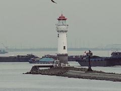 -上海吴淞炮台湾国家湿地公园