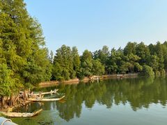 -东湖落雁景区