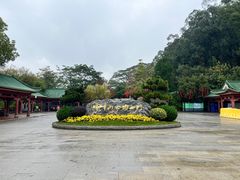 -顺峰山公园