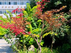 -西安市第二十三中学