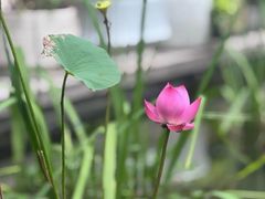 -酒蜻蜓·庭院私房菜(天元东路店)