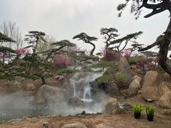 -罗红摄影艺术馆