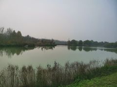 -淇河国家湿地公园