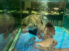 -聚福宝合苑食府(南头镇店)