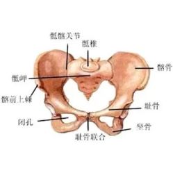 -邢台妇产医院