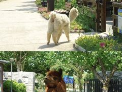 -静之湖湖畔餐厅