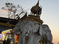 -品德宏·孔雀宴的发源地(金塔园店)