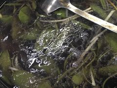 -协和菜馆(凤凰街店)