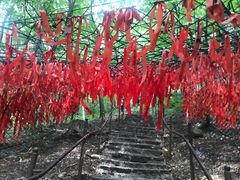 -帽儿山风景区