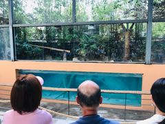 -清迈夜间动物园