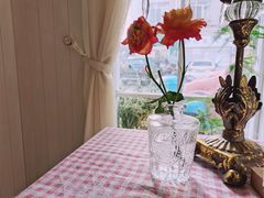 -Jo's Garden