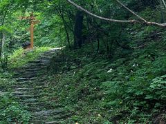 -本溪汤沟绿石谷森林公园