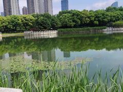 -后襄河公园