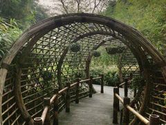 -望江楼公园