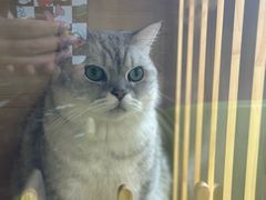 -艺味深尝(云锦路店)