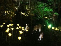 -天目湖御水温泉·度假酒店