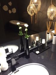 -THANN EXPRESS SPA