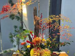 -杭州植物园
