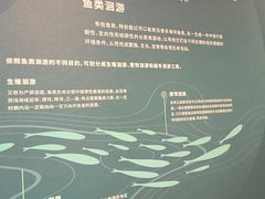 -中国湿地博物馆
