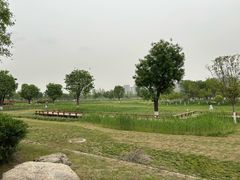 -汉长安城未央宫国家考古遗址公园