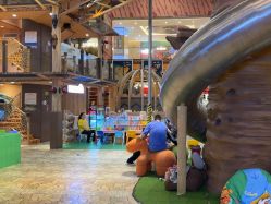 -卡通尼·Safari非洲探索乐园·生日会(金桥国际商业广场店)