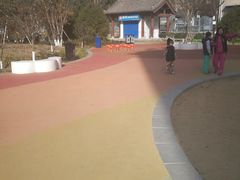 -莲湖公园