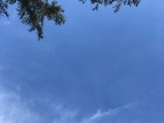 -连城·新天地(福华一路店)