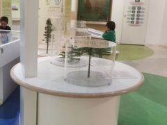 -大阪市立自然史博物馆