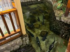 -耕渔小院·湖南鱼鲜(望城店)