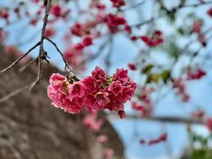 -南诏风情岛