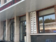 -派美特宠物医院·核磁CT·骨科肿瘤·疑难转诊(沈农禾丰店)