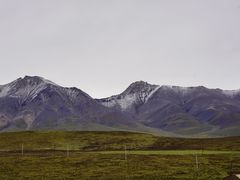 -祁连山草原