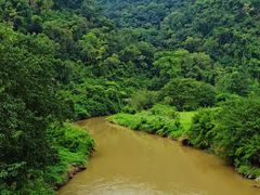 -南宁良凤江国家森林公园