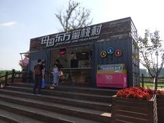 -田园东方蜜桃村的田野营地