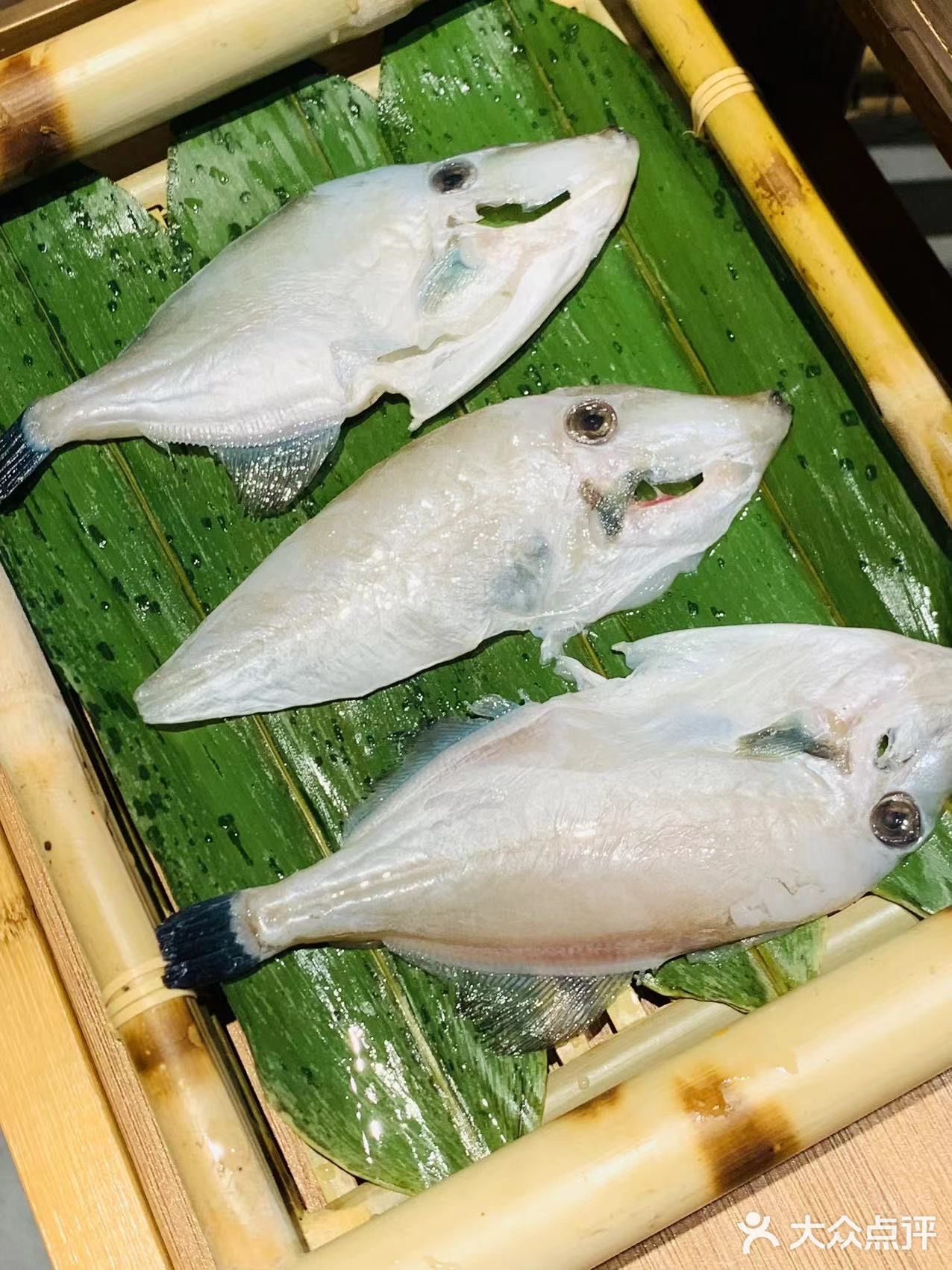 重庆火锅里的专属鱼！！