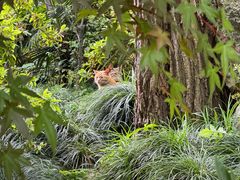 -龙华寺