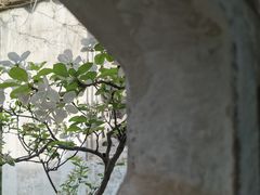 -拙政园