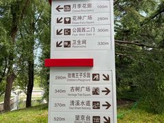 -大望京公园