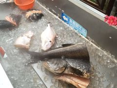 -渔家火锅·海鲜自助餐·演艺(亚龙湾天域酒店)