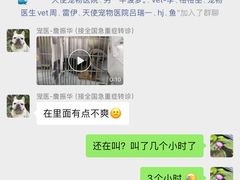 -瑞派天使宠物医院·神经外科·骨科·核磁(洛川中路店)
