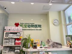-悦宠凯宝动物医院·牙科·皮肤科(朝阳北路店)
