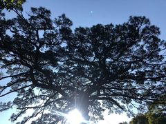 -徽州美食(三十年老店)