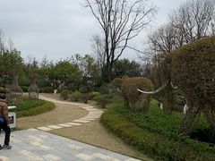 -铁山坪森林公园