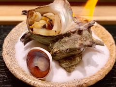 濑户内海海螺-橼舍鮨青木