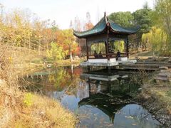 -月湖风景区
